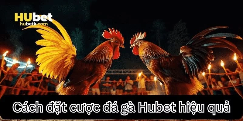Cách đặt cược hiệu quả tại thương hiệu hubet